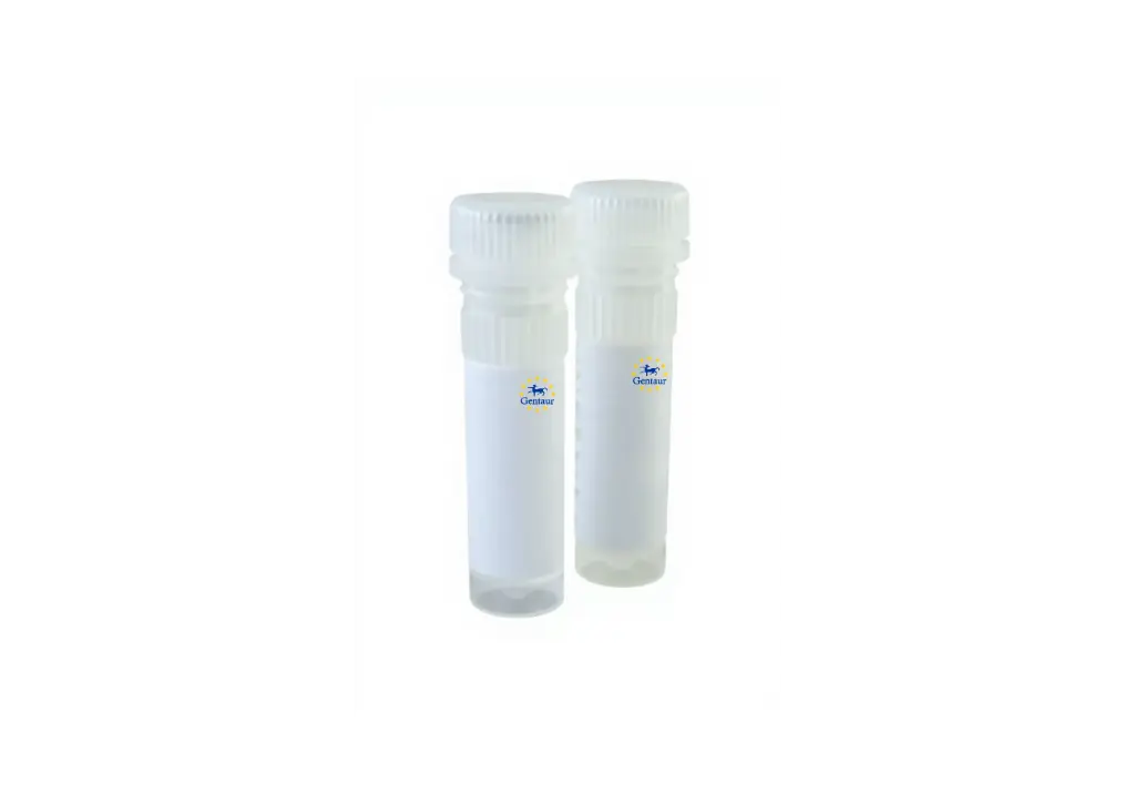  adeno associated virus purification mini kit serotype 2 and dj 
