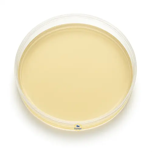 TRIPLE SUGAR IRON (TSI) AGAR
