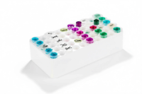 TGF b 3 Human, Plant